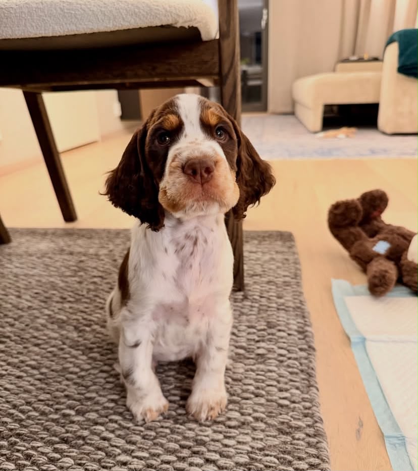 Gentle handling from day one in our home