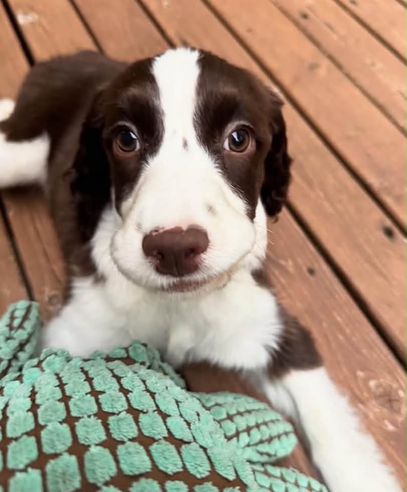 Maggie